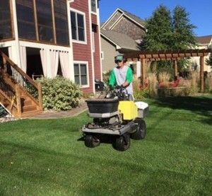 Fertilization and weed control Stillwater, MN