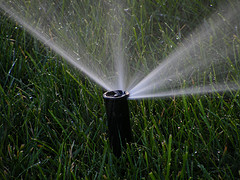 Watering the grass with an irrigation system