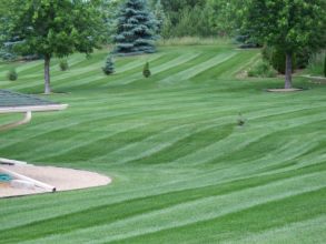 Lake Elmo Residential Lawn Mowing