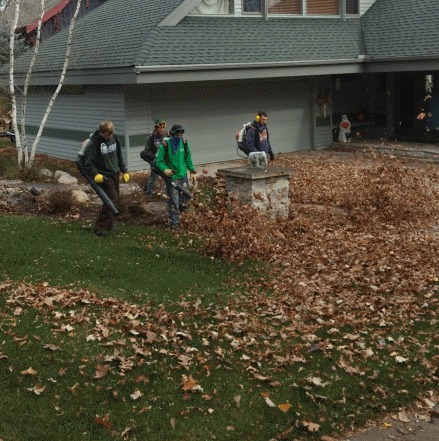 Leaf Clean Up